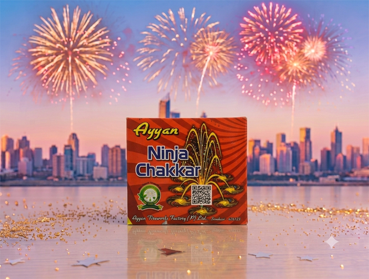 Ninja Chakkar
